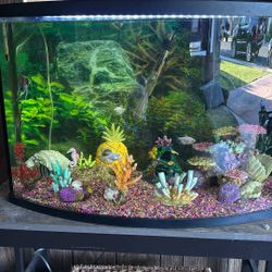 Fish tank 