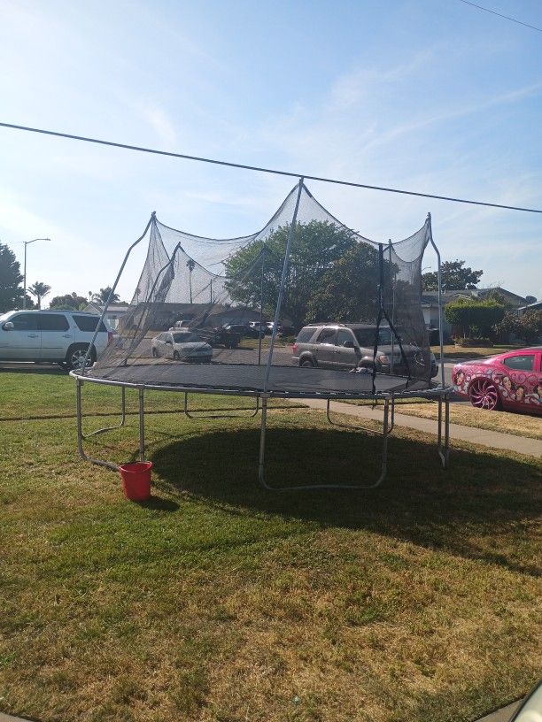 Trampoline