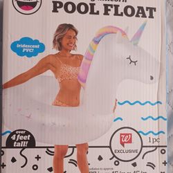 Pool Float