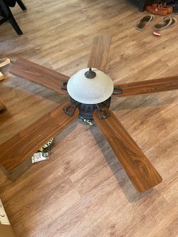 Hunter ceiling fan with light
