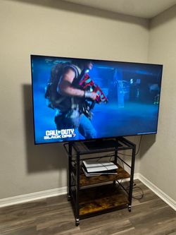 65 “Samsung TV w/ Cart Stand