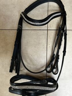 Bridle