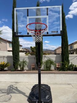 Lifetime Portable Basketball Hoop