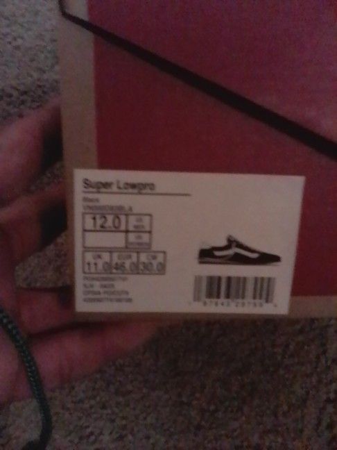 Vans- Low Pro