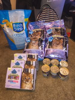 Blue Buffalo Kitten Bundle 