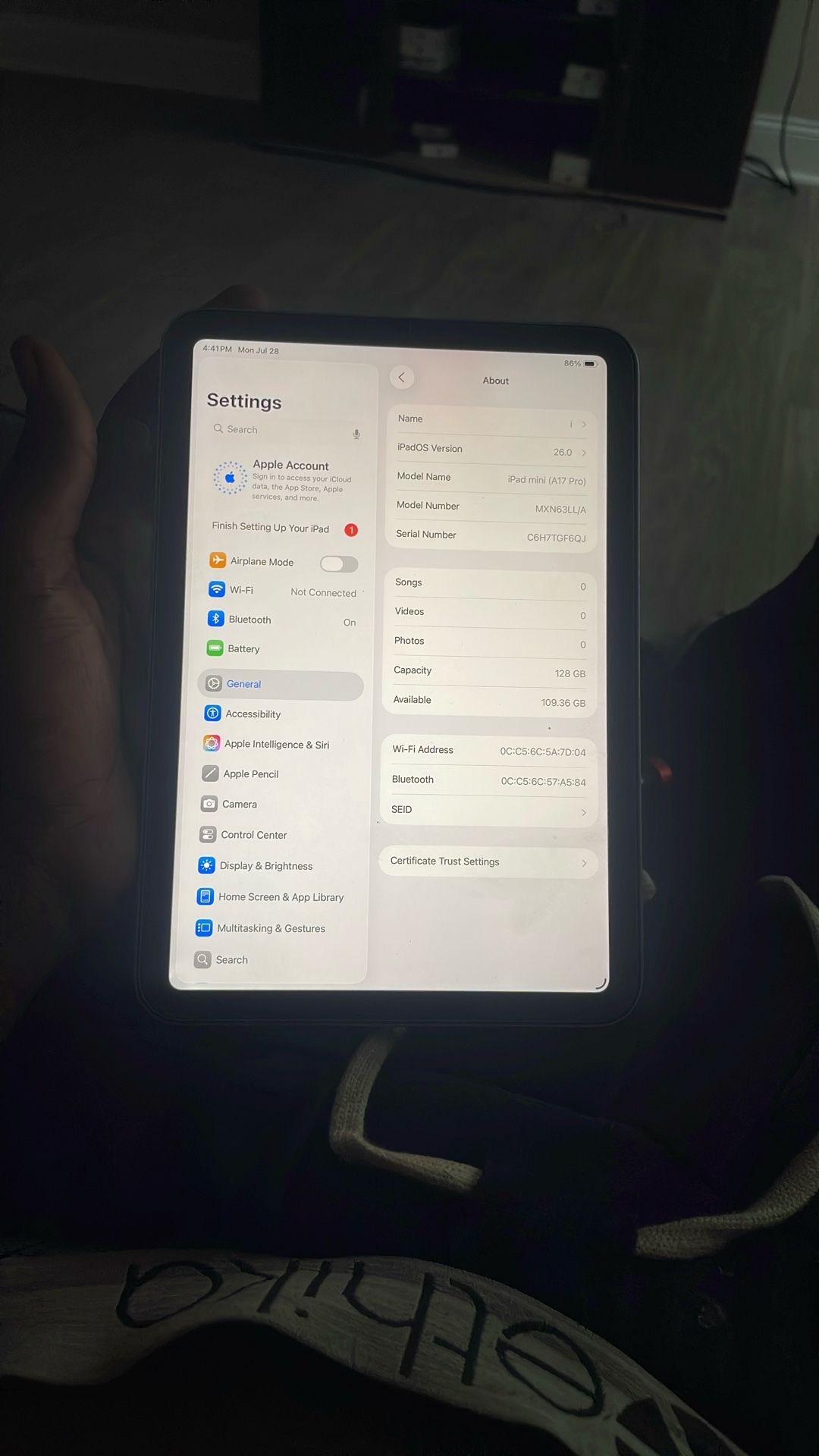 Apple iPad Mini