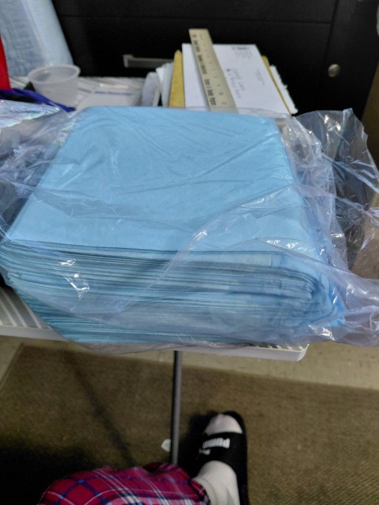 BRAND NEW NEVER USED WEE WEE PADS SMALL PACK