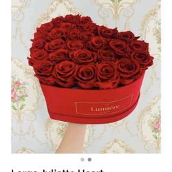 lumiere forever flowers