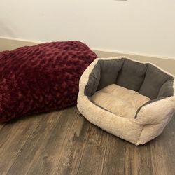 Cozy Dog Beds