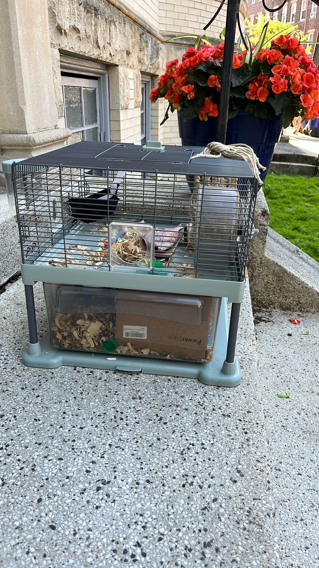 Hamster Penthouse