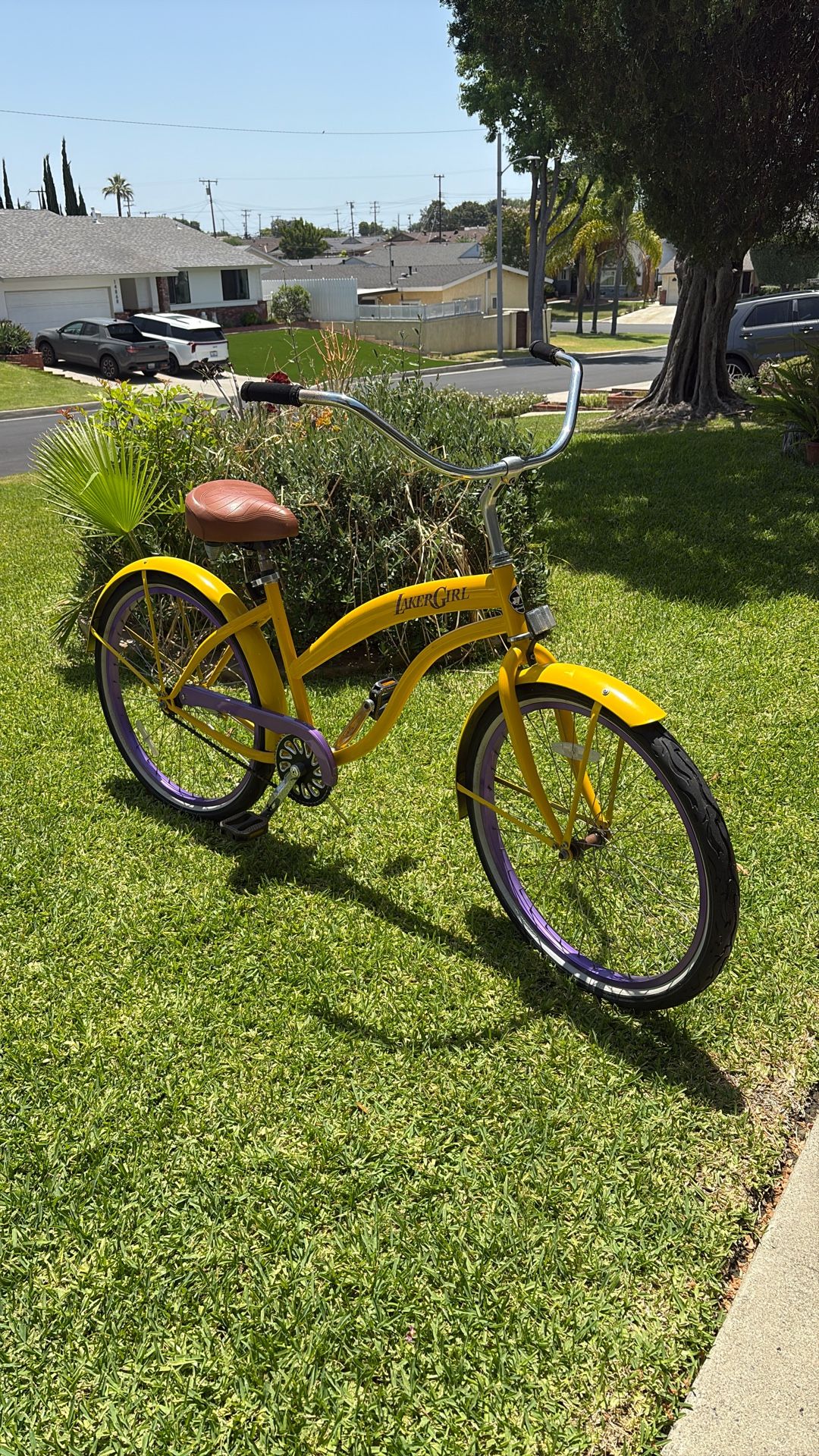 GreenLine Cruiser Bike. Custom “Lakergirl” Design