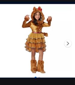 Costume Kids Hooded Tigress Costume