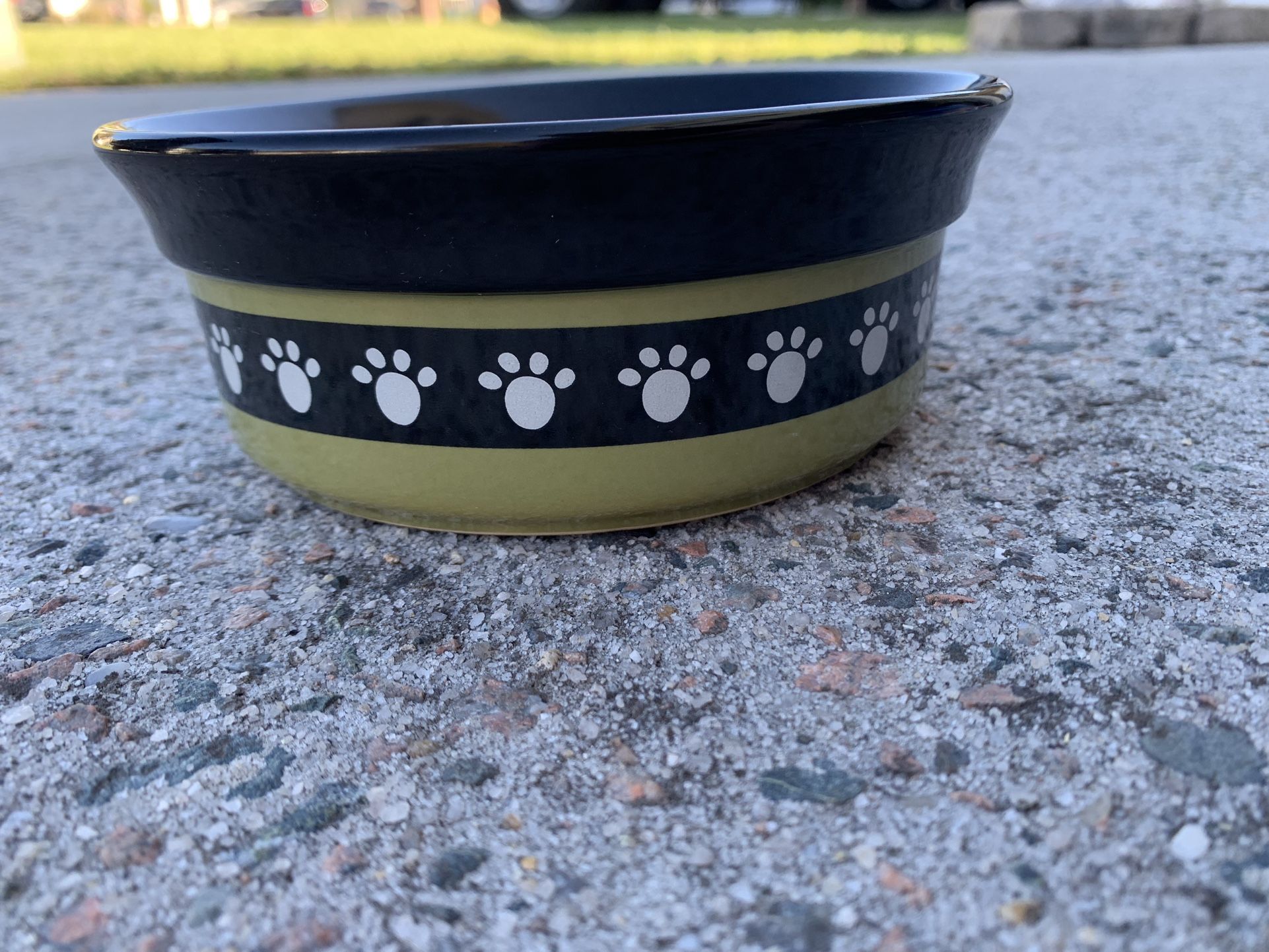 Dog/Cat Bowl - Dr Foster and Smith Brand