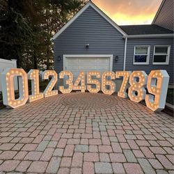 5’ Marquee Numbers