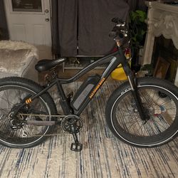 Rad Power Bike Fat Tire (Ebike) (Electric Bike)