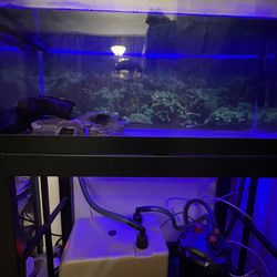 Fish Tank/aquarium Chiller/ Canister Filter