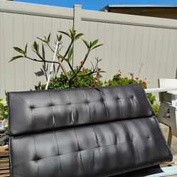Black Convertible Futon Sofa Bed