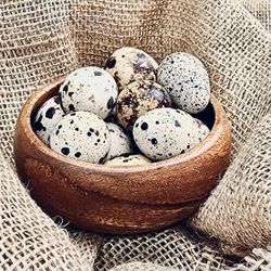 Fresh Quail Eggs Daily 