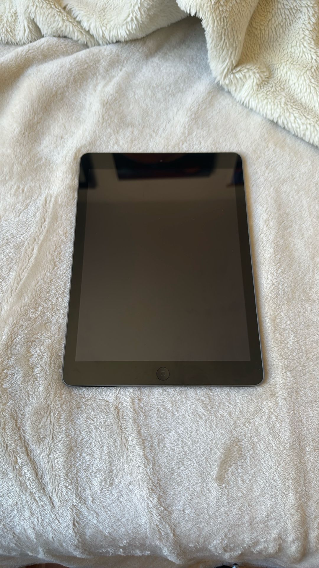 iPad Air 1st Gen