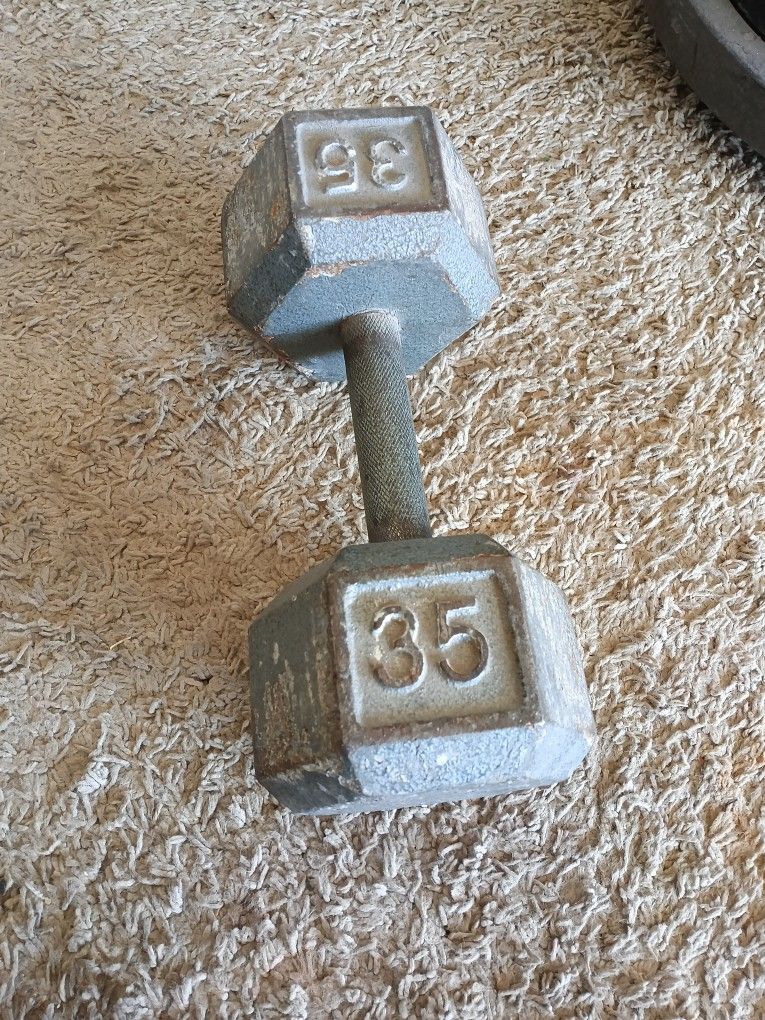 Dumbbell 35 Lb
