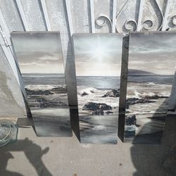 Small/Med Canvases Home Decor
