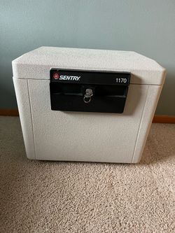 Sentry 1170 safe