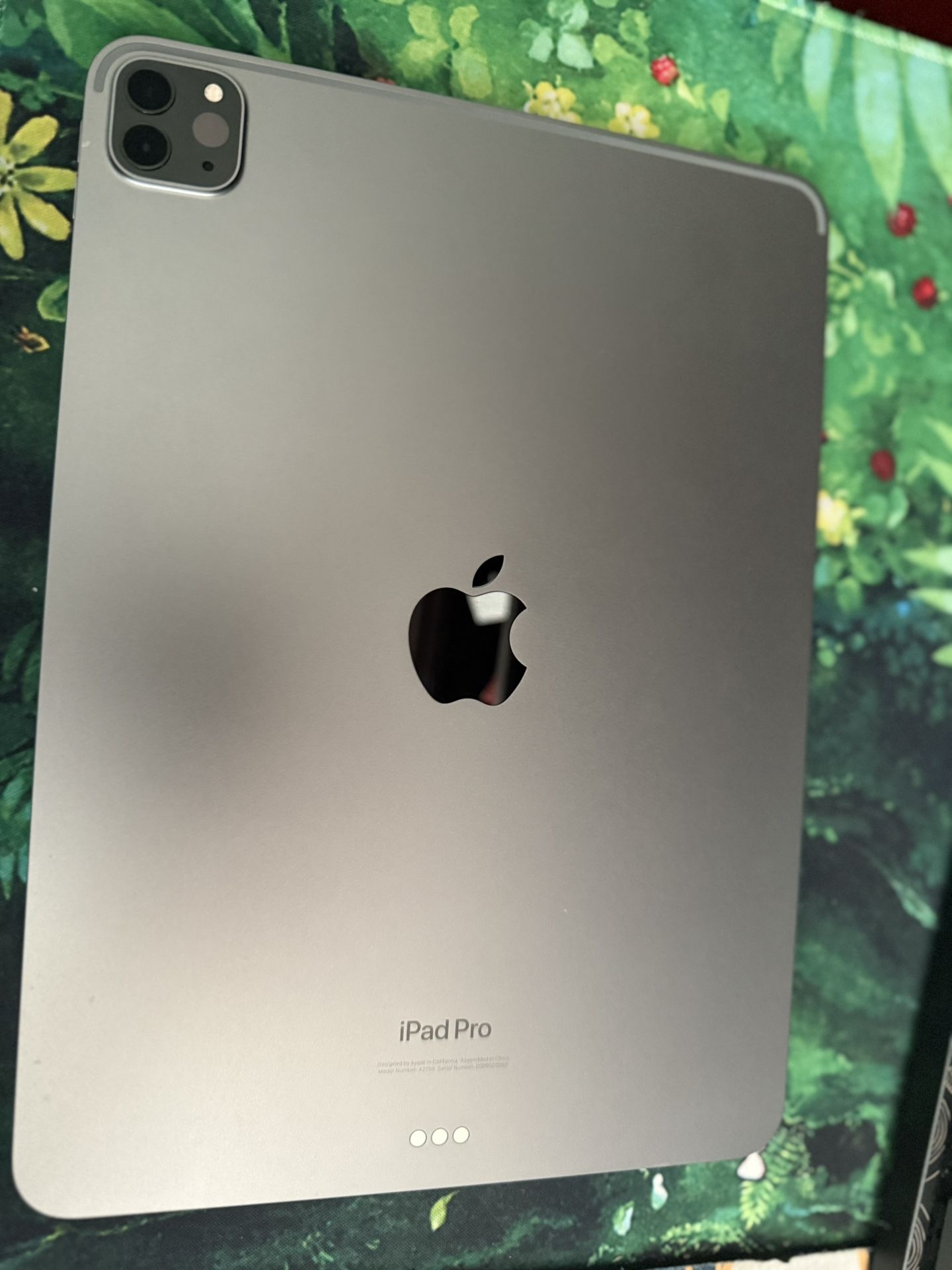 IPad Pro M2 11”