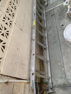 Ladders !!! Need them gone ASAP