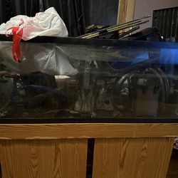 Fish Tanks / Aquariums