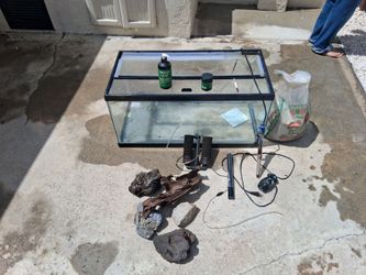 40 gallon aquarium set up