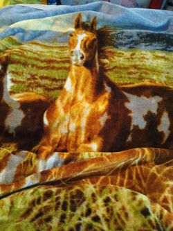 Fleece Blanket for A Twin Bed 