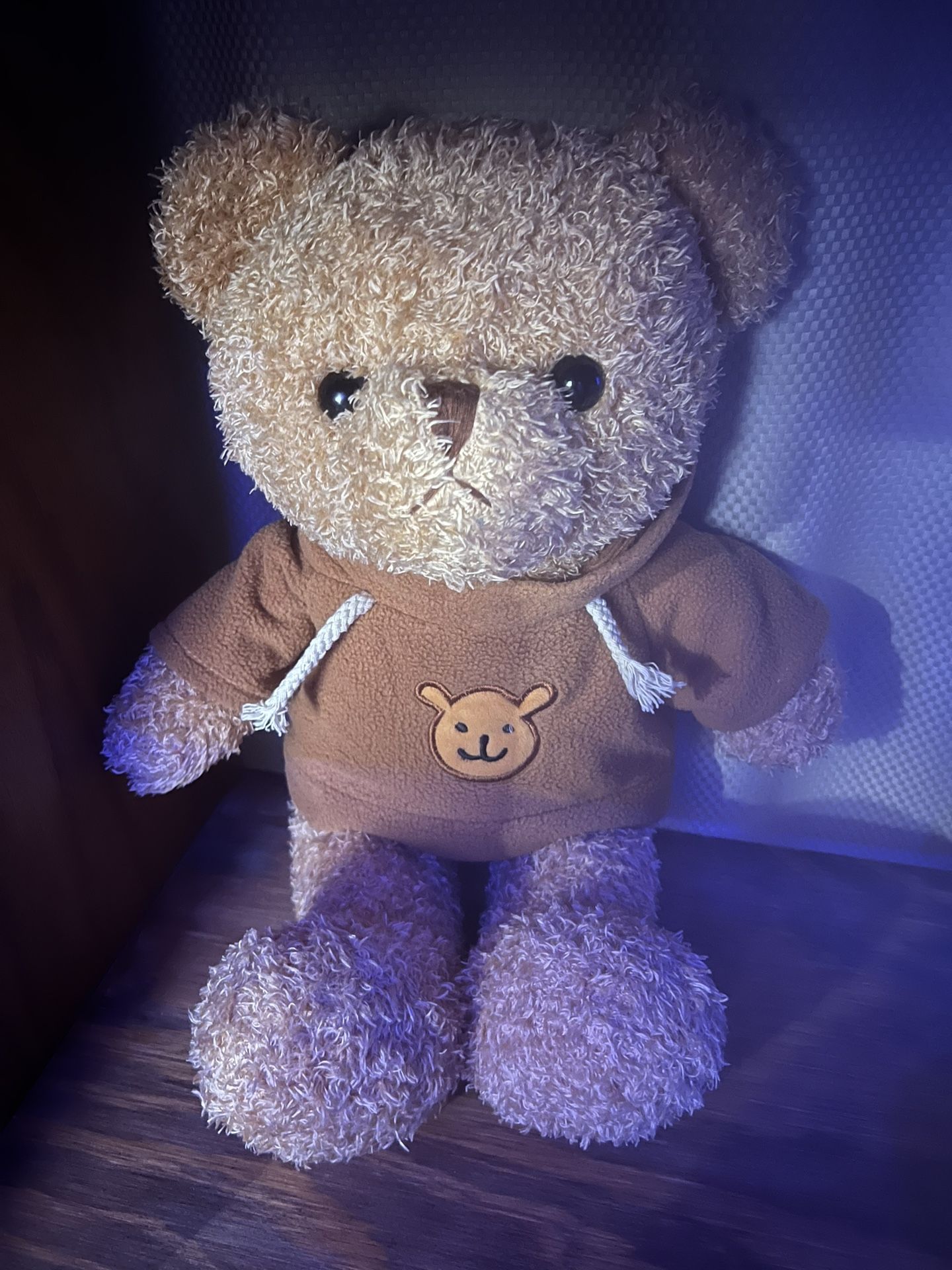 Teddy Bear Plush