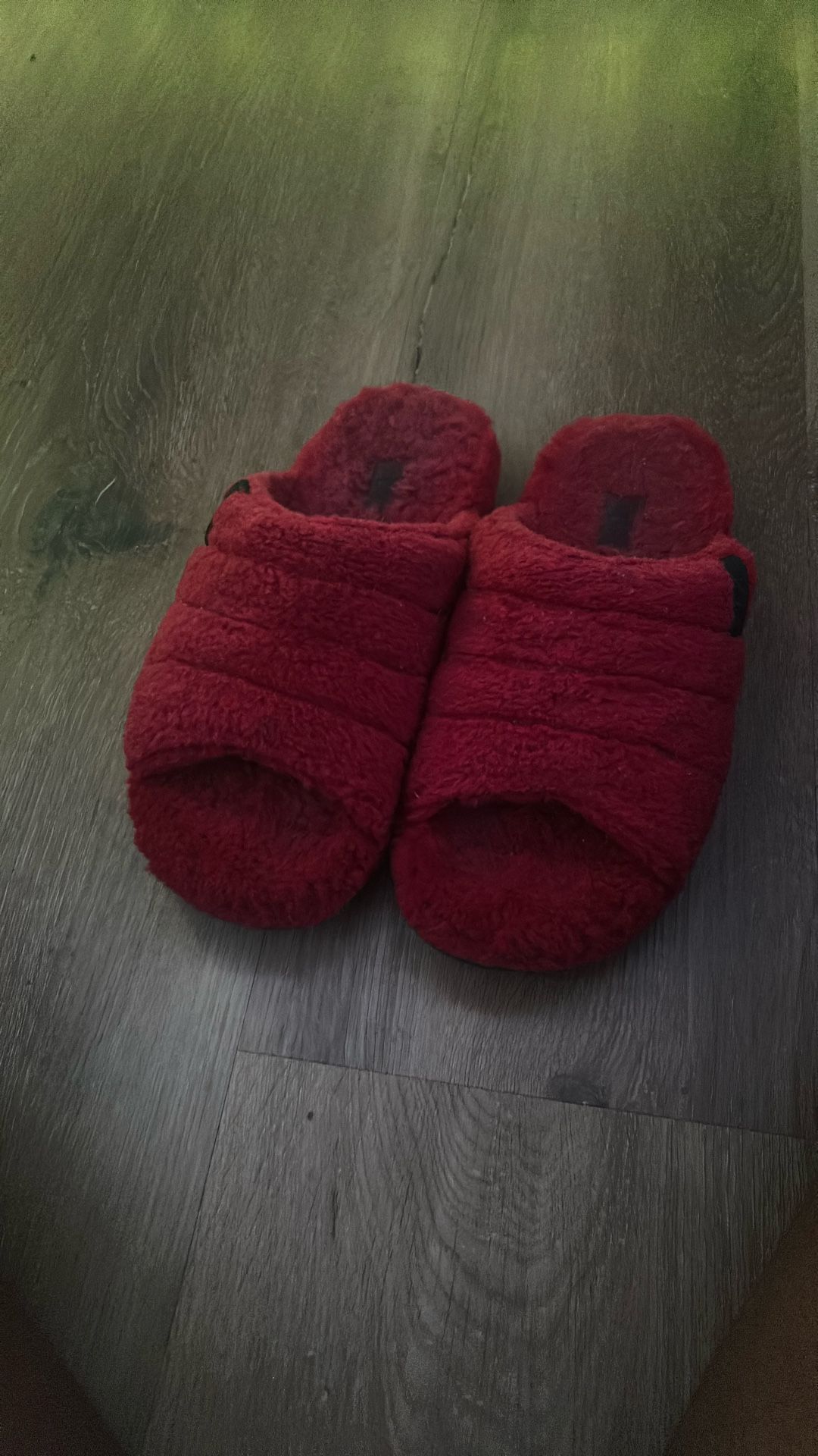 Ugg Slides