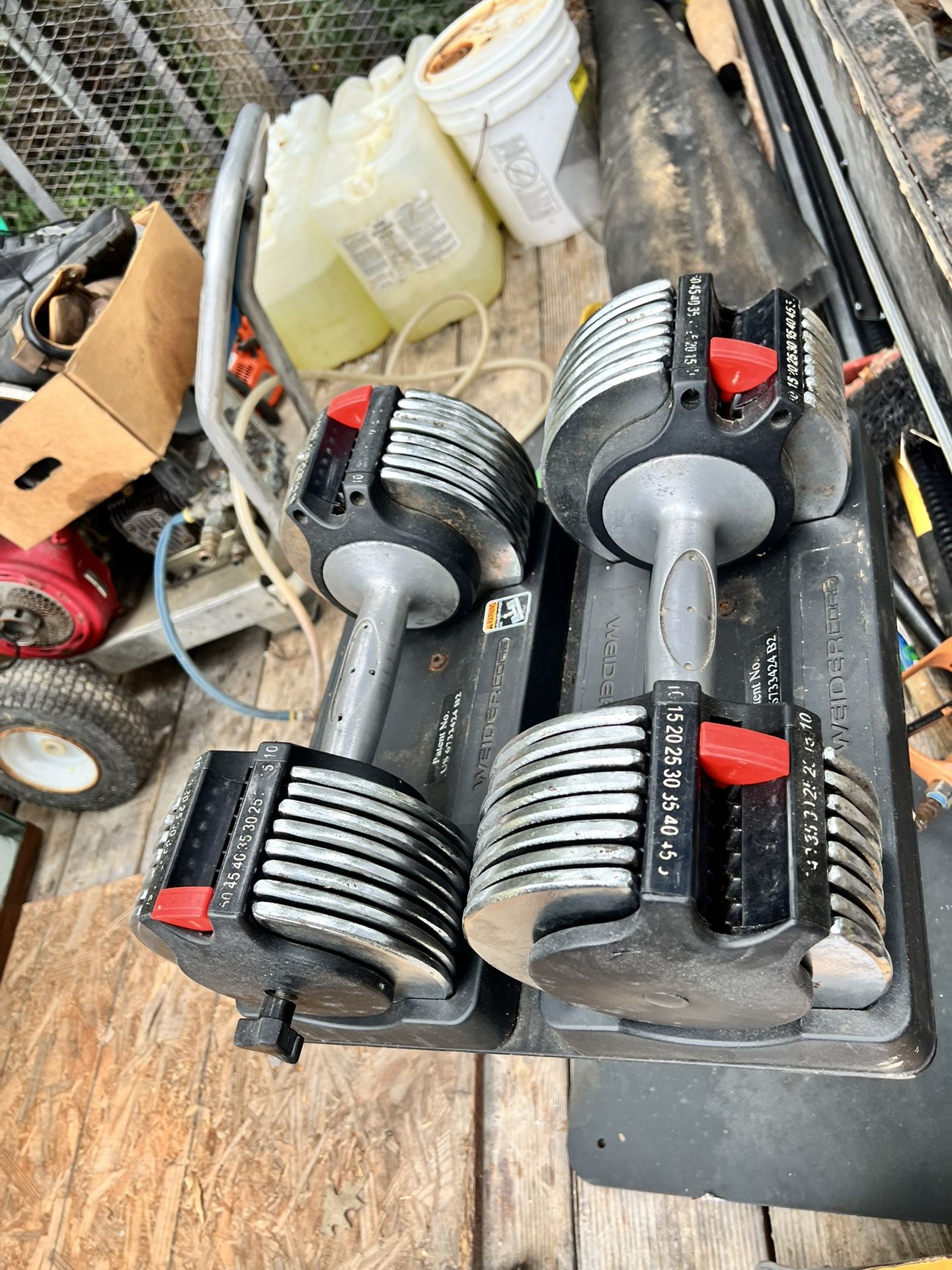 Dumbbells (Mancuernas )