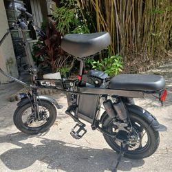 Folding E Bike 