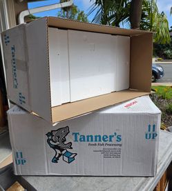 Ice Cooler Shipping Box