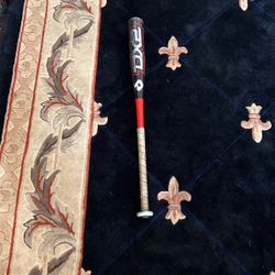 DX2 Baseball Bat