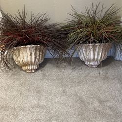2 Wall Plant Holders