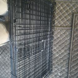 Dog kennel