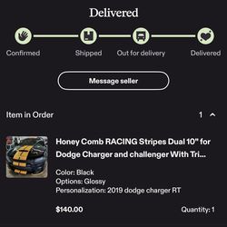 2019 Dodge Charger racing stripes