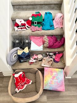 TAKE ALL FOR $10: Dog Clothing and Accessories Bundle