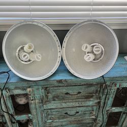 Professional Photography Lights 