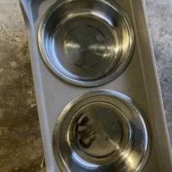Dog Bowls 