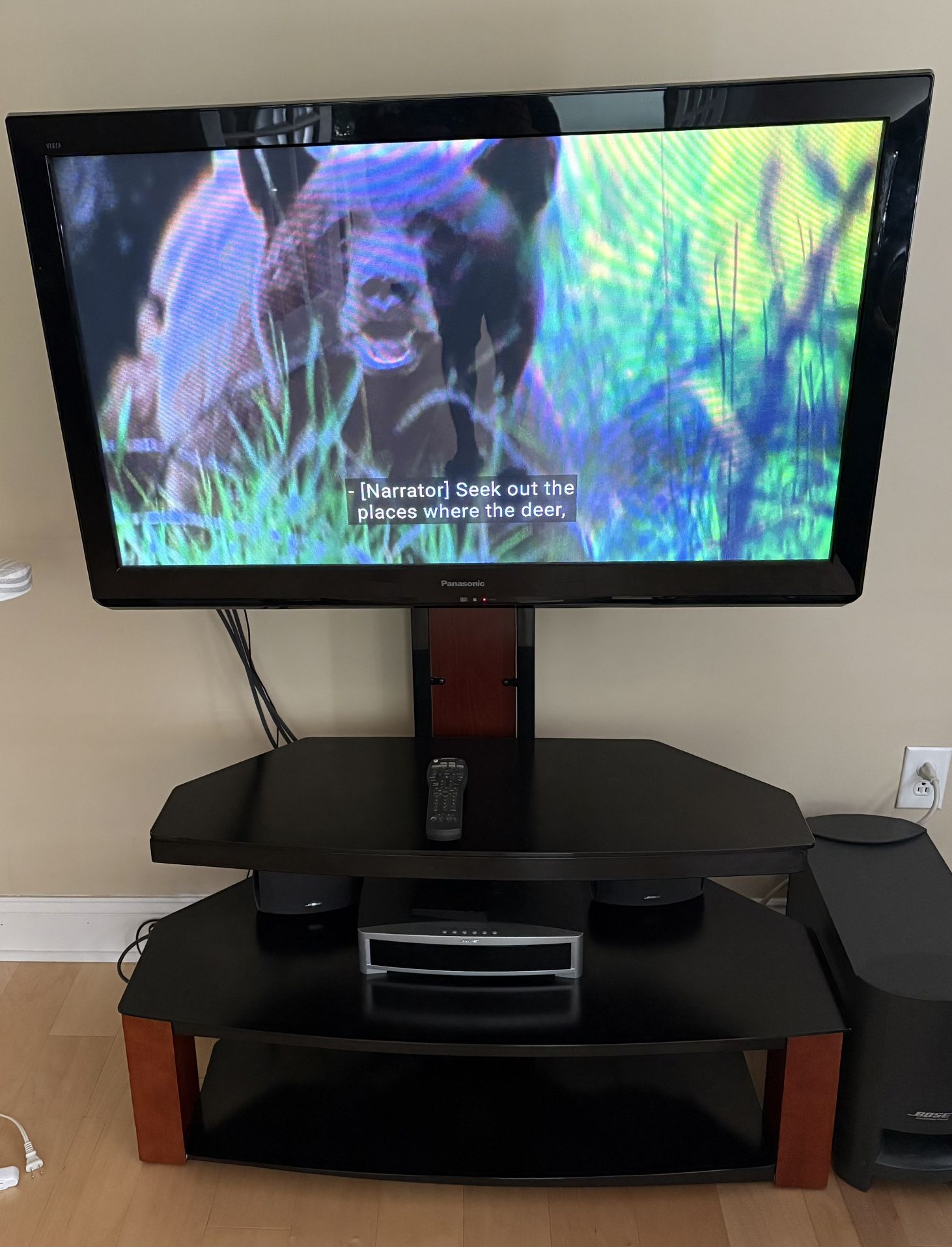TV with Bose 3-1 Speaker system and TV Stand