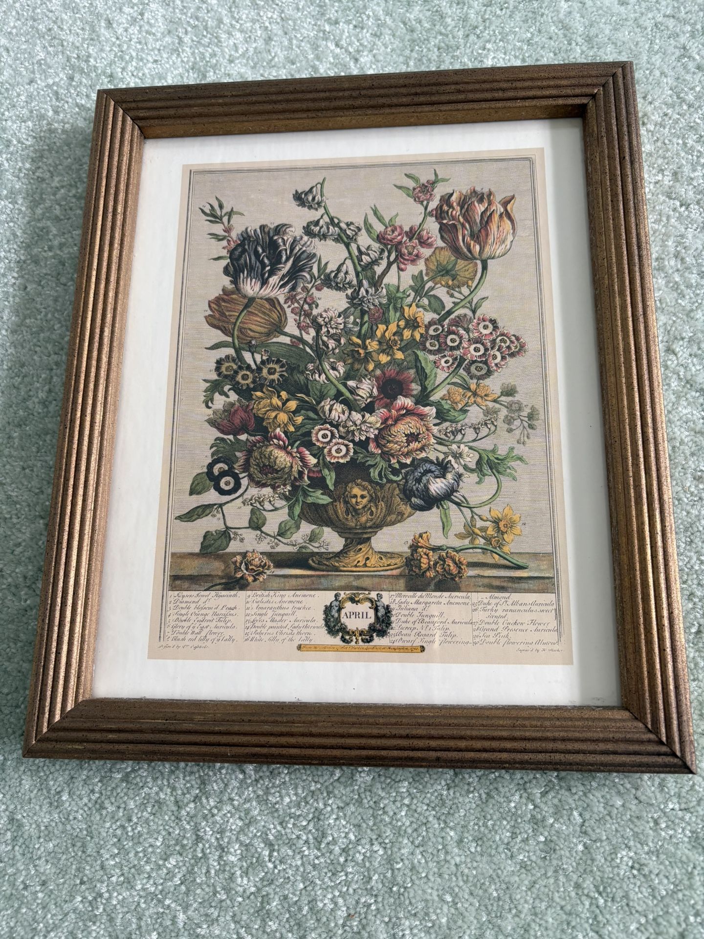 Robert Furber “12 months of flowers,” 9” x11” Framed April Print