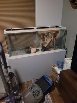 Tank for hamster, base, accessories and food