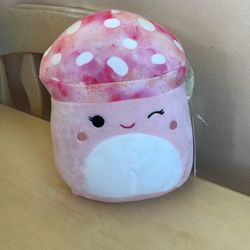 Squishmallows Brand New