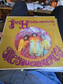 Jimi Hendrix Experience Are You Experienced Vinyl LP