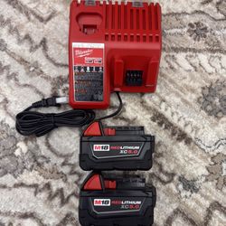 Milwaukee 5.0 Batteries With Charger 