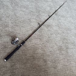 Spinning Rod  & Reel